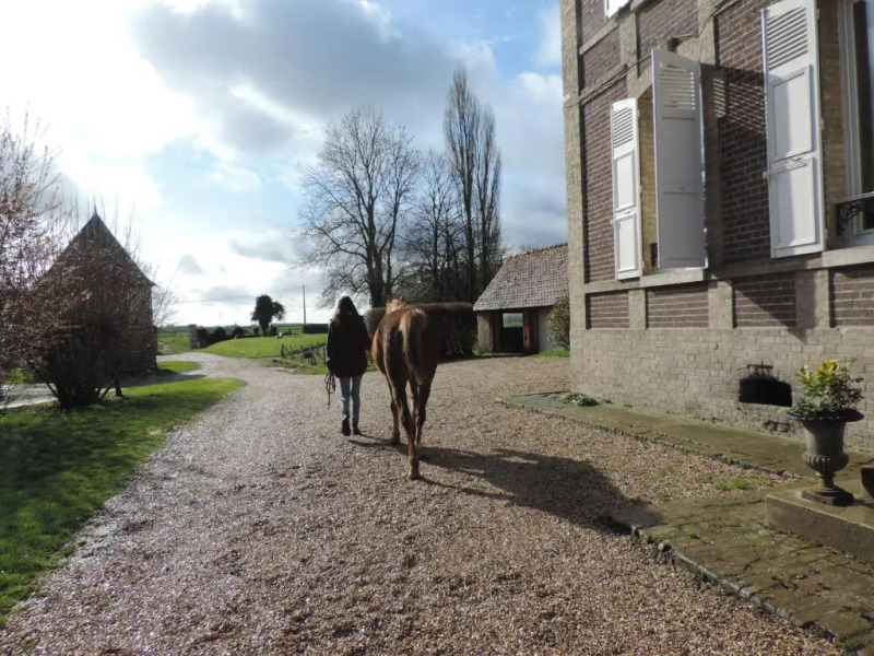 Chambres dHôtes de la Bucaille