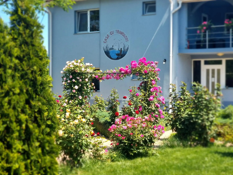 Casa cu Trandafiri Murighiol