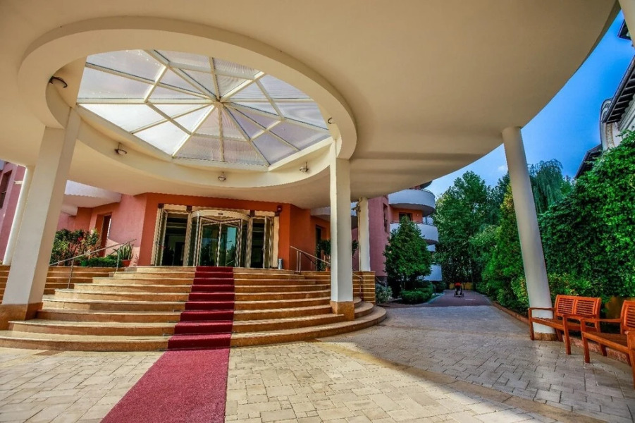 Wild Orchids of Bucharest