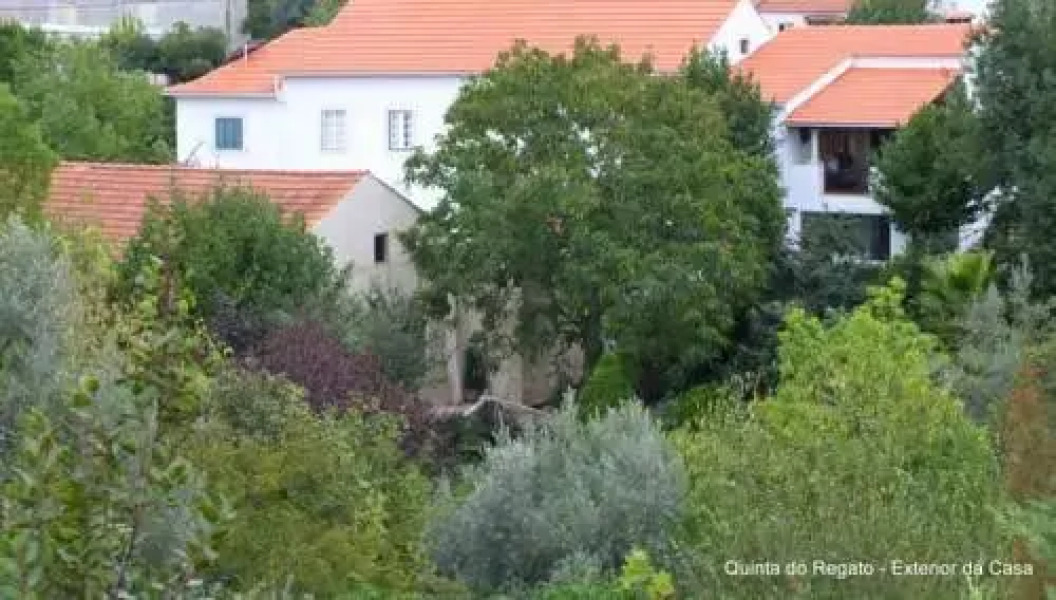 Quinta do Regato