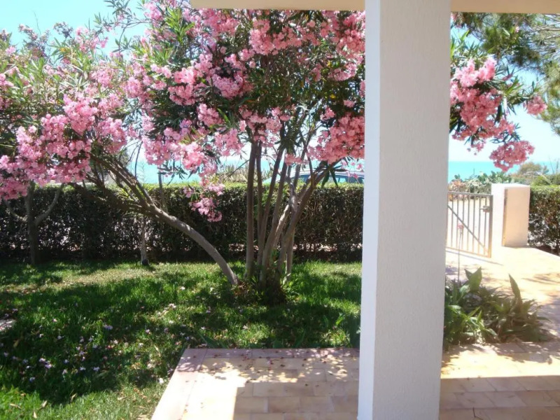 Cala Vigliena Il Sole Negli Occhi