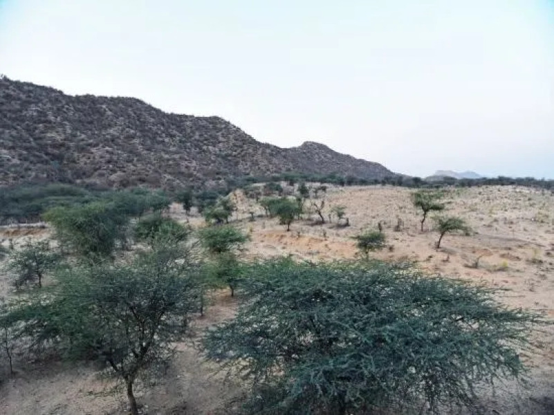 Hotel Silver Star Pushkar