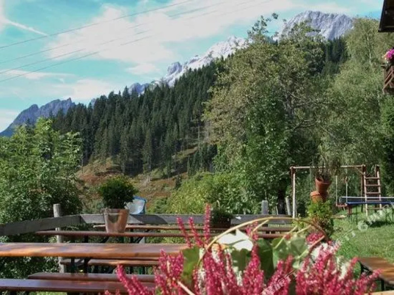 Alpengasthof - Pension Rapoldsberg