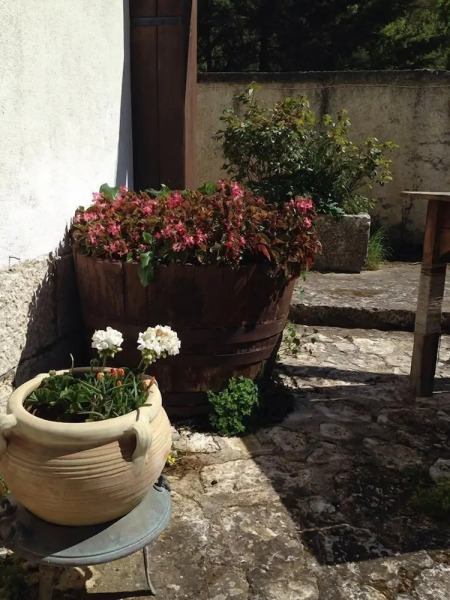 Azienda Agricola Traina