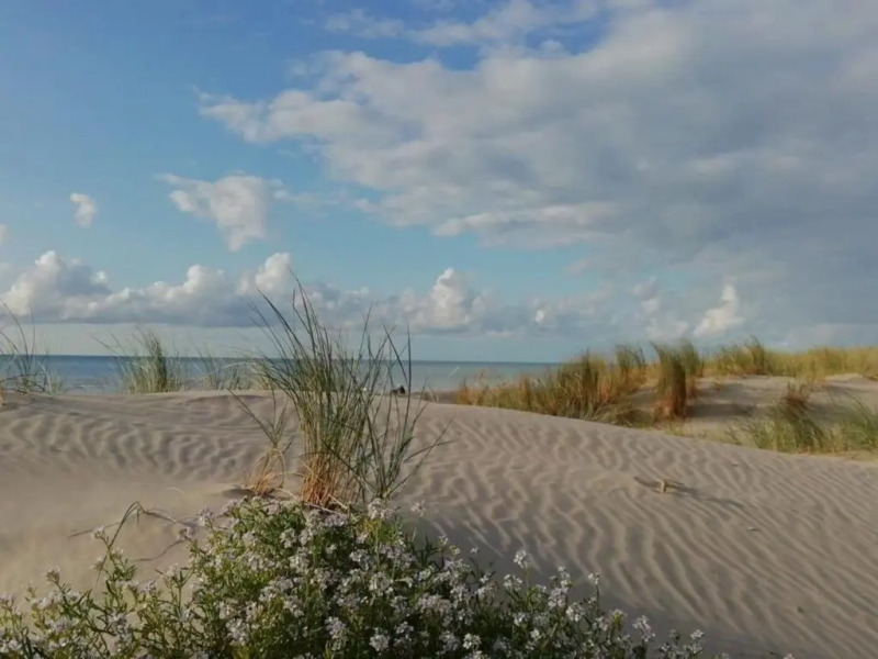 Superbe apt cosy, 50m de la plage, 4 pers, vue côté mer