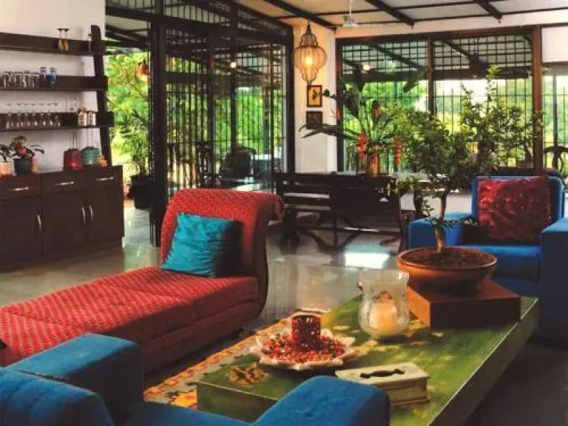 Tooth Mountain Farms