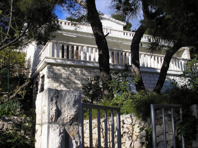 Apartment Zelko - garden and barbecue: A2 Hvar, Island Hvar