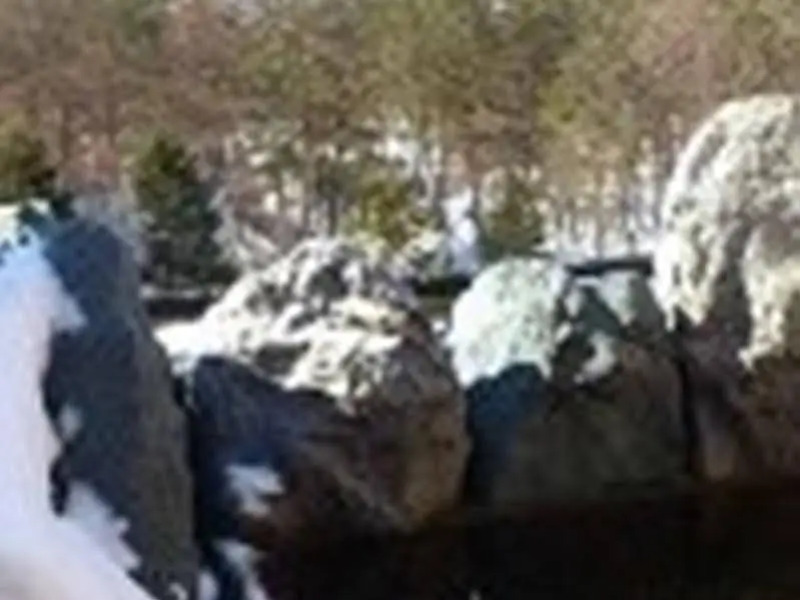 The Cultured Apartments Hakuba