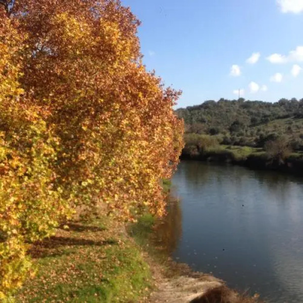 Casa Arlindo Correia