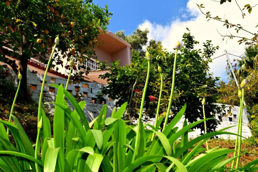 Eden Sea view studios