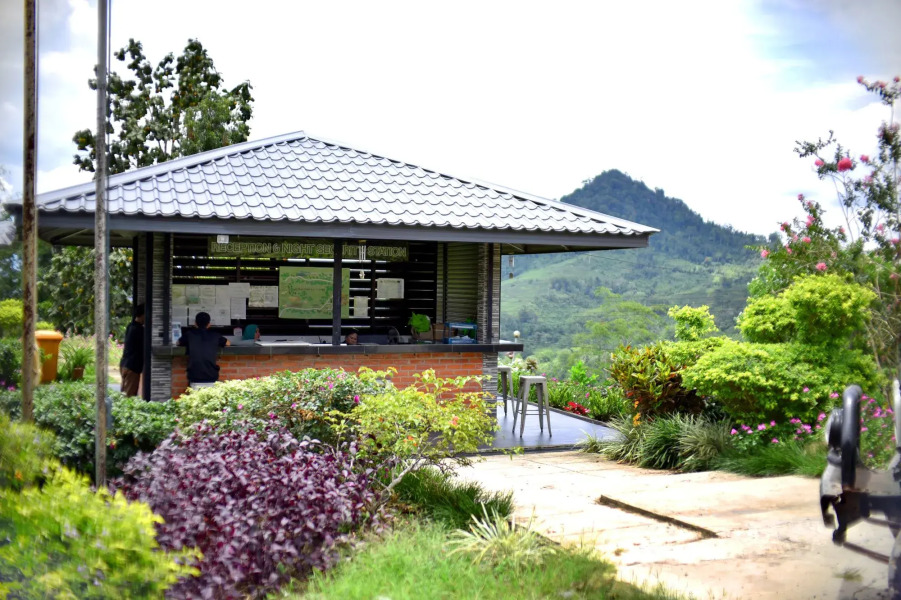 Sabah Tea Resort