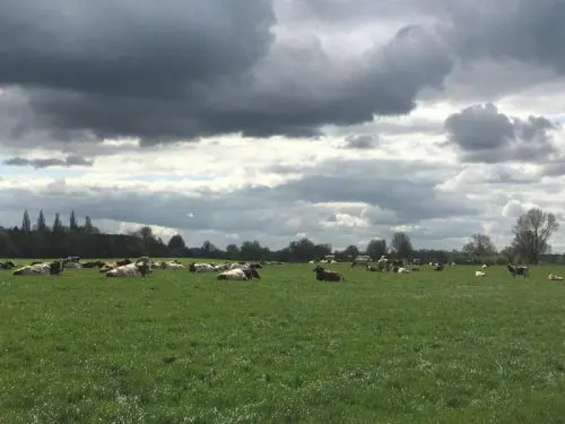 Bed and Breakfast de Bosakker