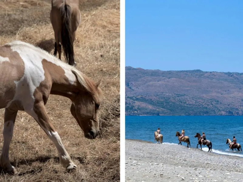 Melia Amalthia Villa, an Evanescence Retreat, By ThinkVilla