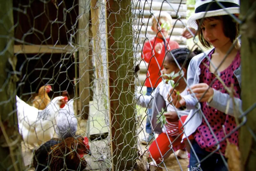 VVF Sud Aveyron, Brusque