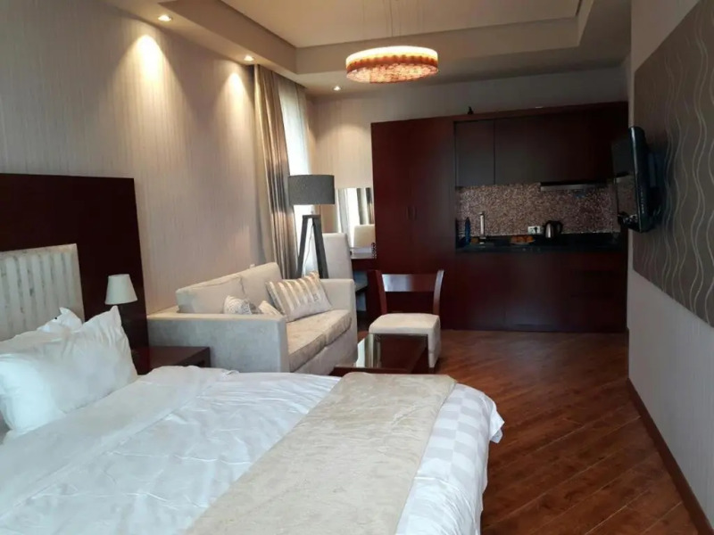 Dreamland Oasis 7 Chakvi