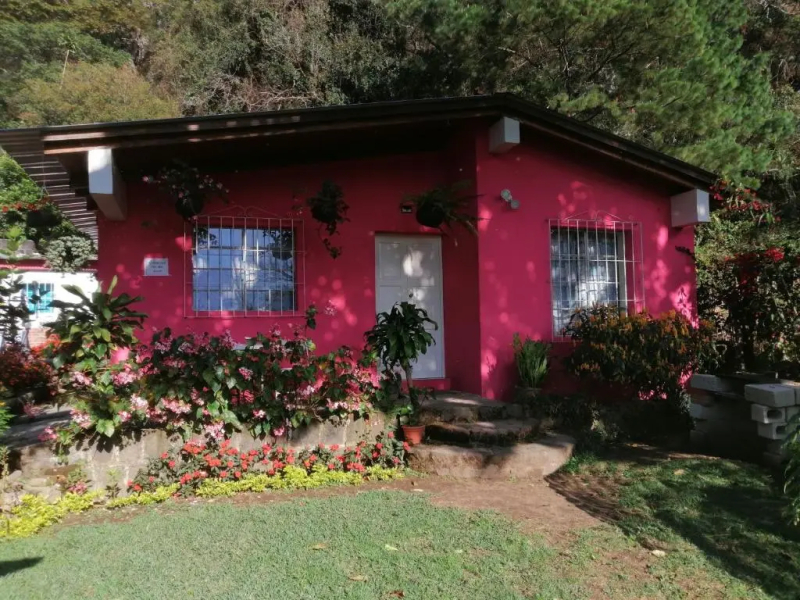 Pink house