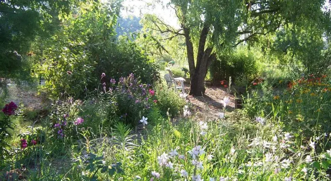 Chambre dHôtes LEtang aux Rainettes