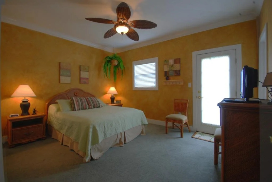 Purple Parrot Village