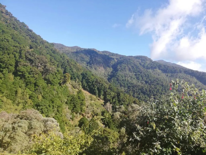 Vista el cerro cabina sangerardo