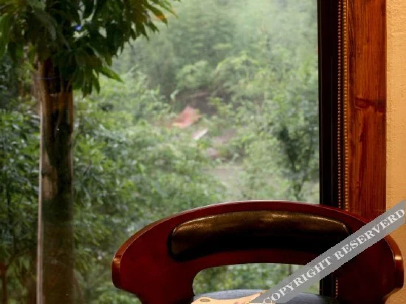 Moganshan Dream Hotel