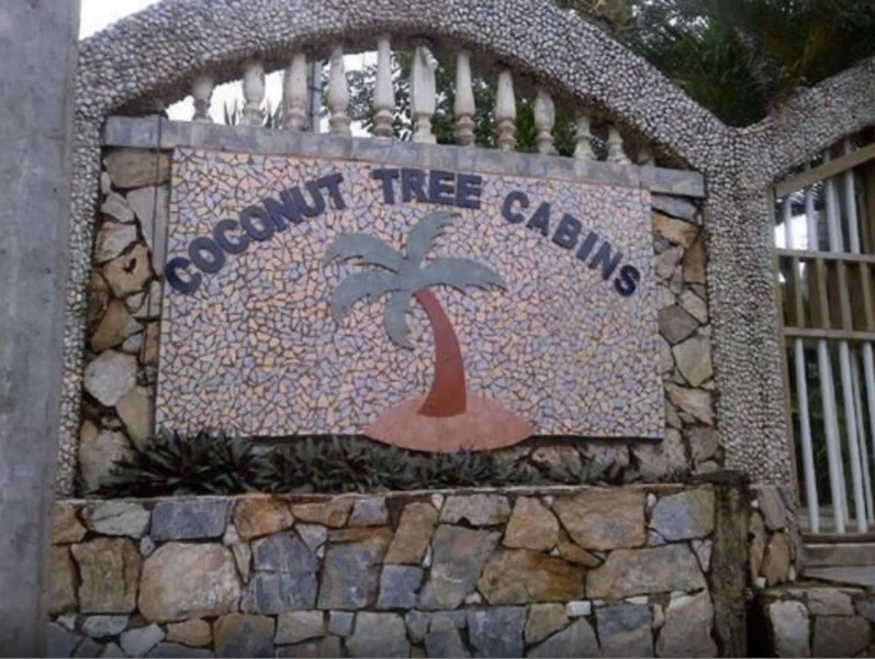 Coconut Tree West Bay