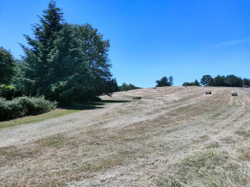 Chambres dans le gîte "Rêves de Gamins", proche du pôle Européen et du circuit des 24h