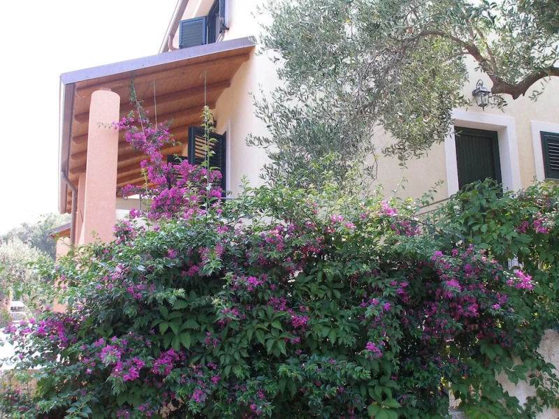 Residence Torre Delle Viole