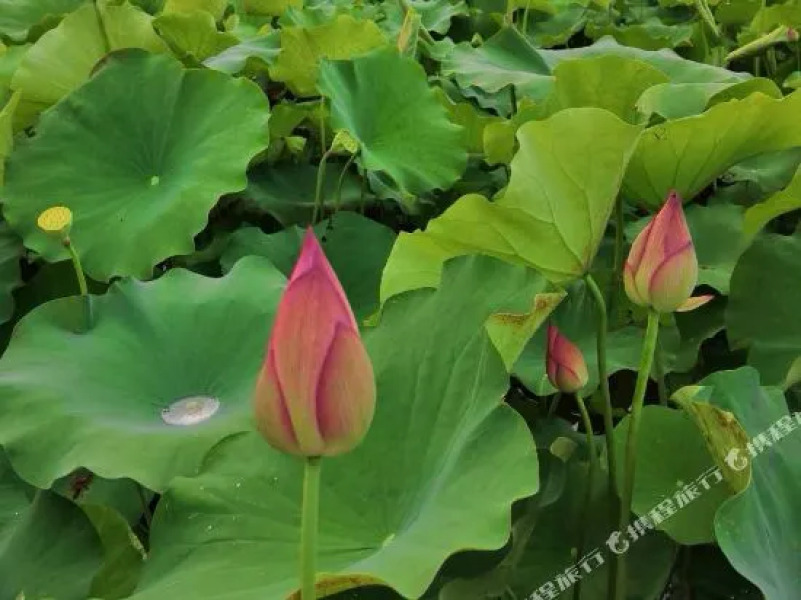 Tianyuan Business Hotel