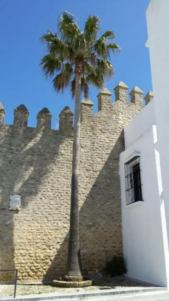 Puro Vejer