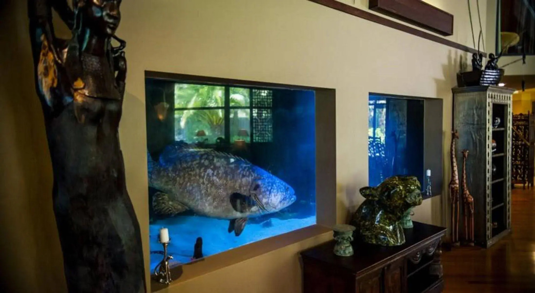 Jamala Wildlife Lodge