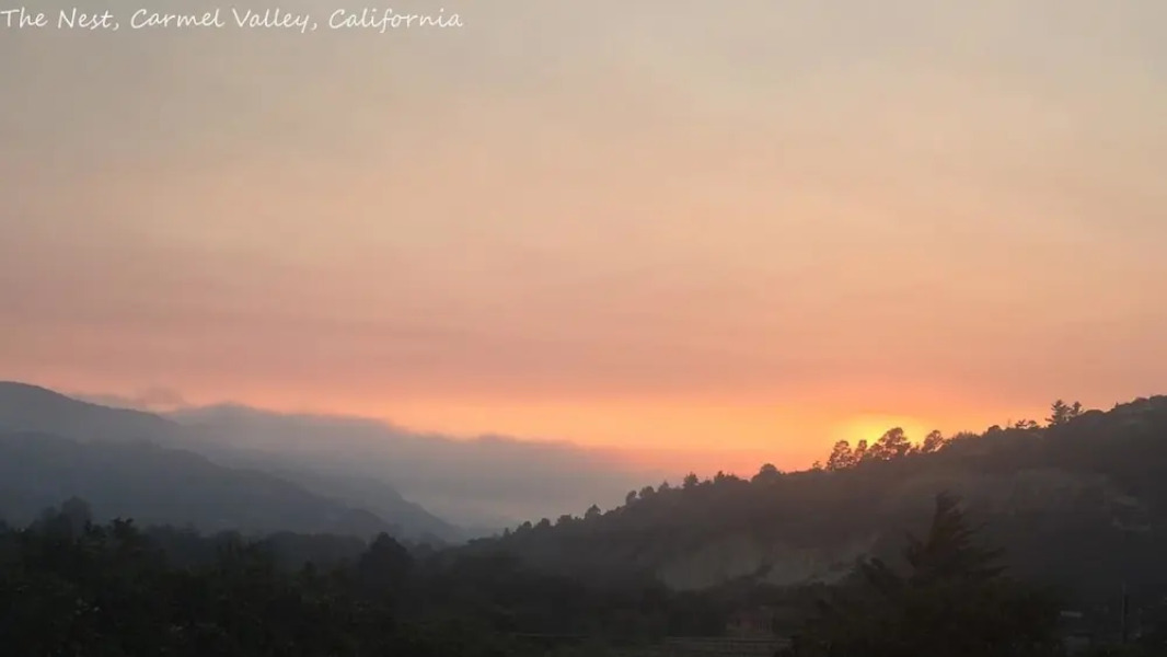 The Nest in Carmel Valley