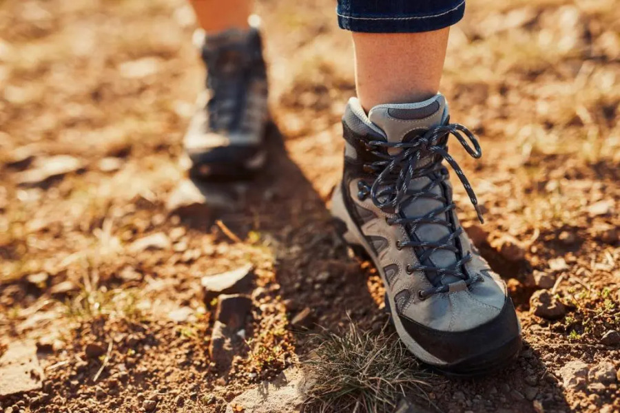 Weingut & Weinparadies Meyerhof