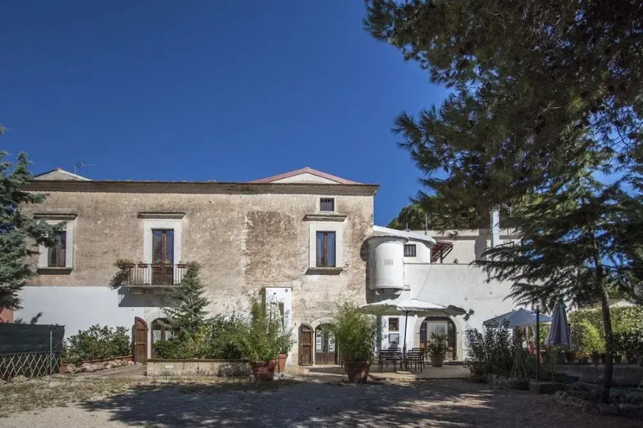 Masseria Citulo - Il Pino Grande