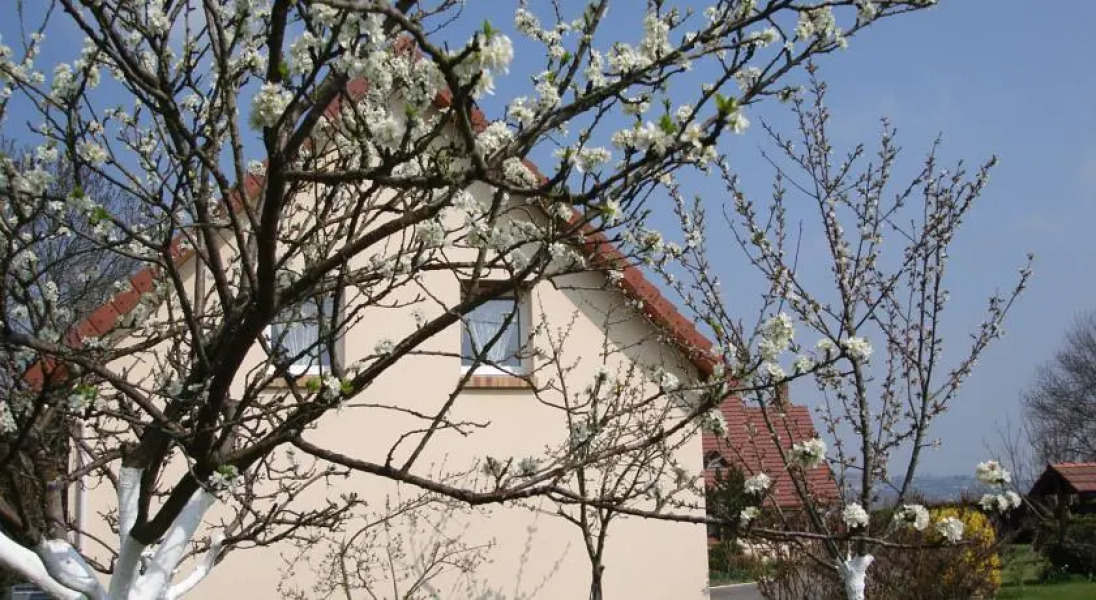 Chambres dHôtes entre Seine et Jardin