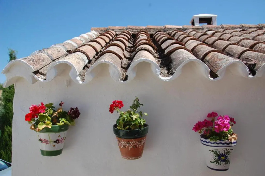 La Escuela del Campo