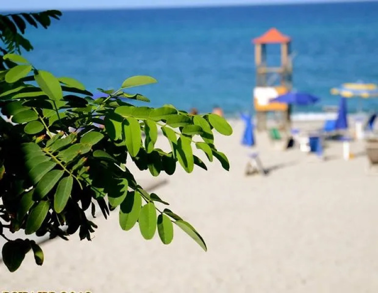 Villaggio Faro Punta Residence Hotel