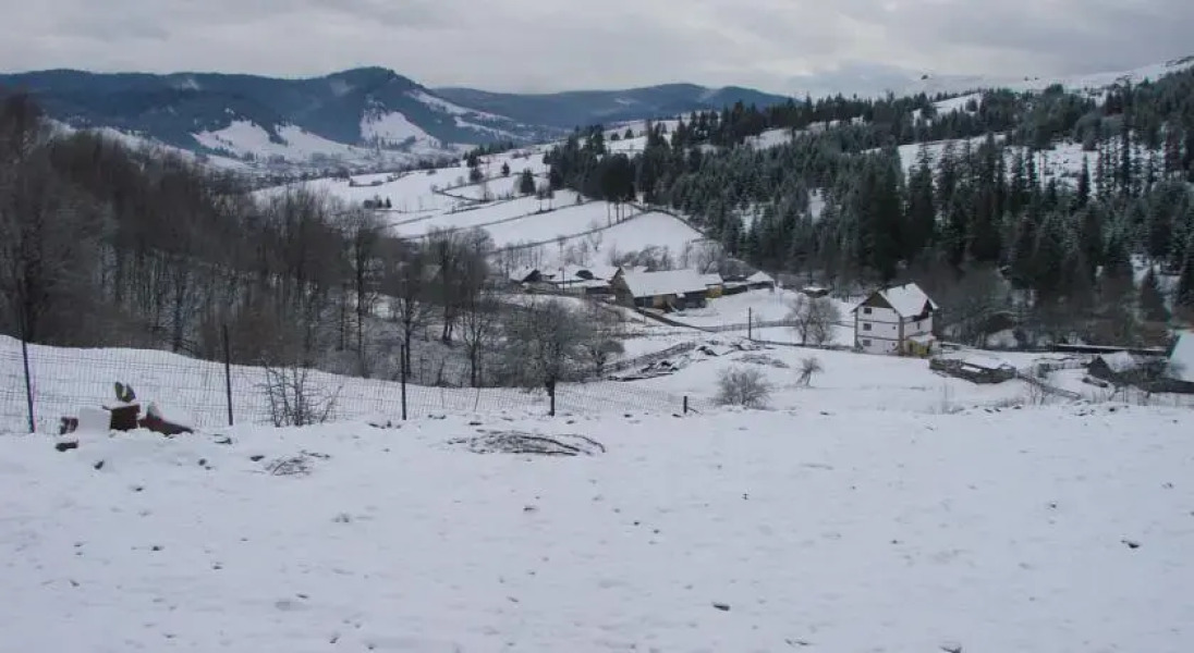 Casa de vacanta La conac