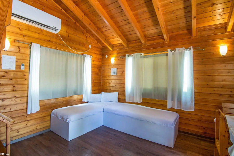 Olive in Sea of Galilee