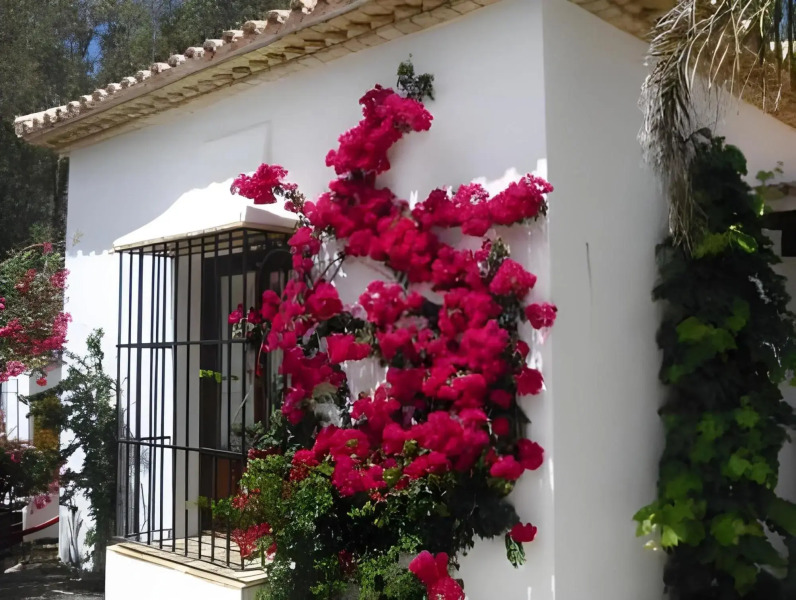 Cortijo Los Monteros