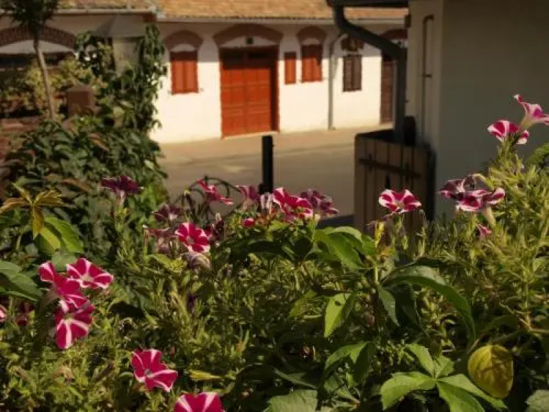 Vitényi Pince Vendégház