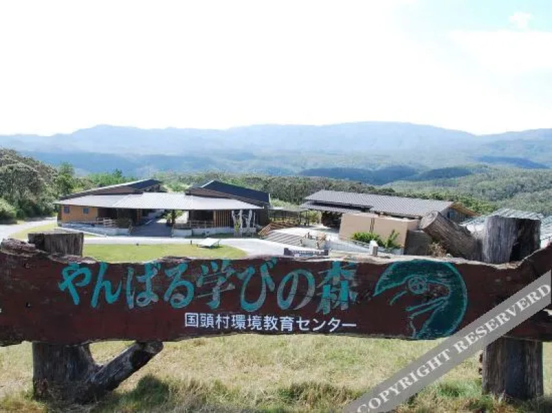 Yambaru Manabi No Mori Shukuhakuto