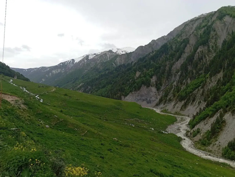 Elizabeth's Guest House