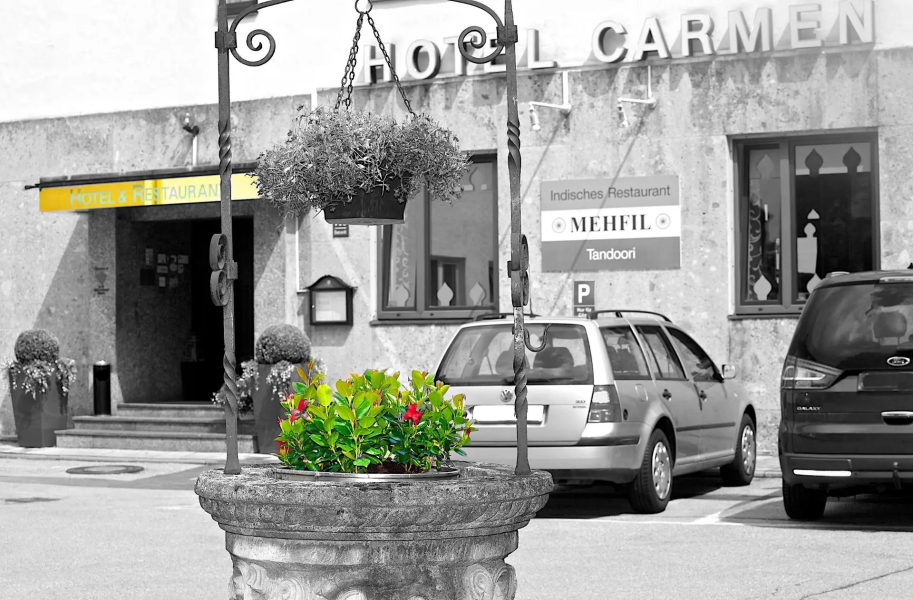 Hotel Carmen