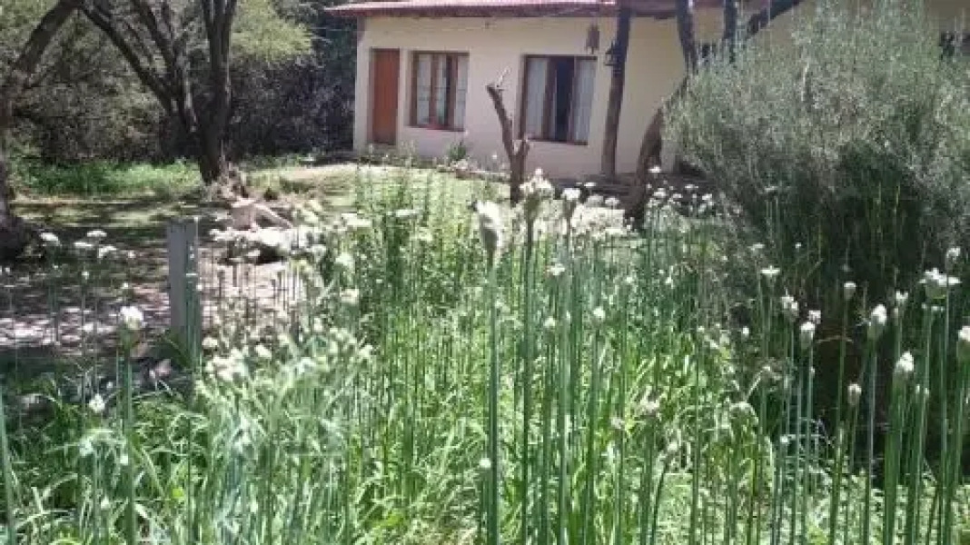 La Haciendita Hostel