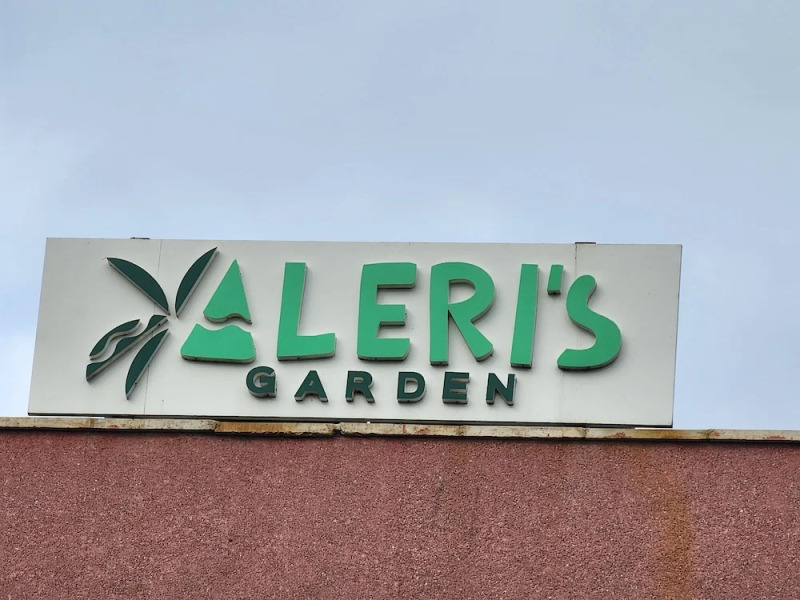 Aleri's Garden