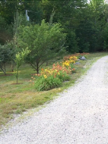 Woods Pond Cottage - Four Bedroom Home