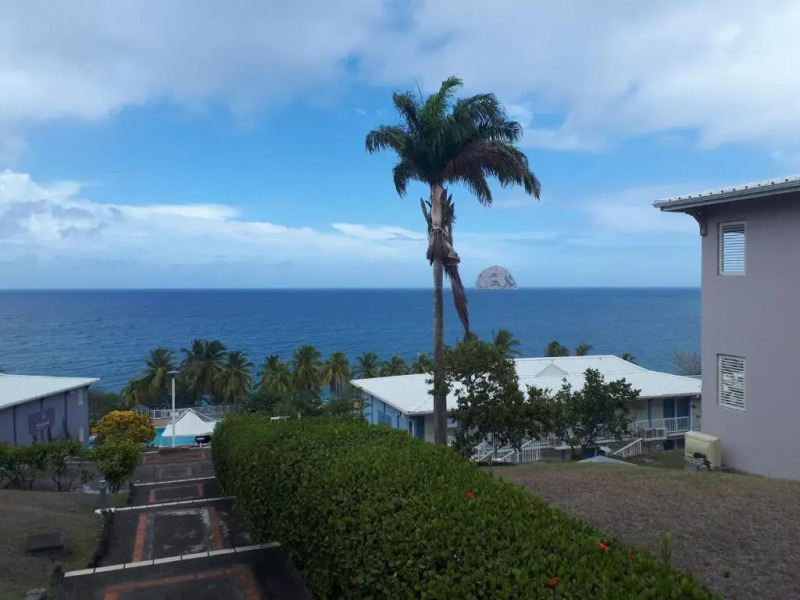 Studio vue plongeante rocher Diamant - Diamond Rock