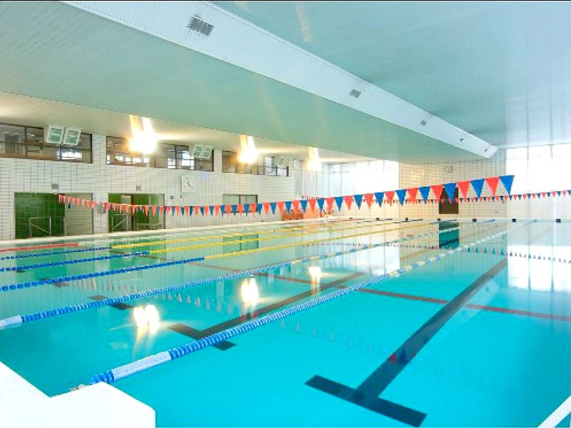 Kasuga-onsen Hot Spring Kasuga’s Forest Resort