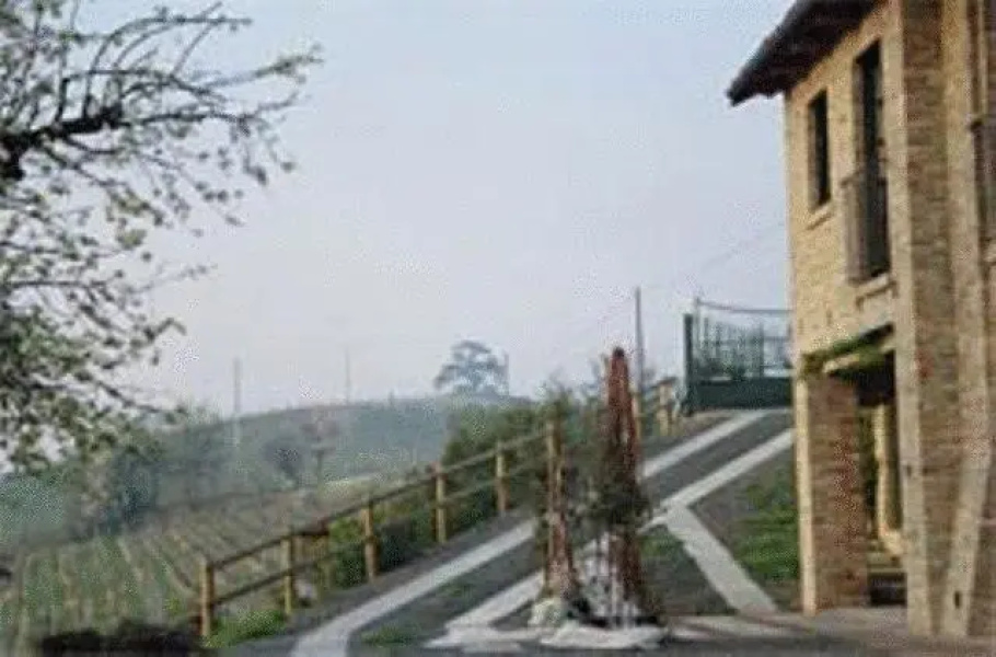 Il Cedro