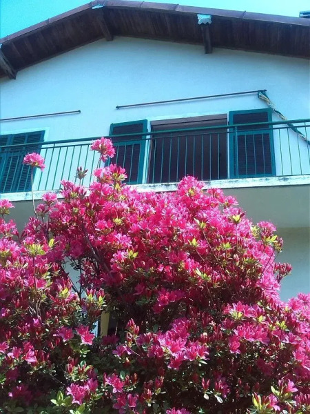 Casa Vacanze 100 Palme